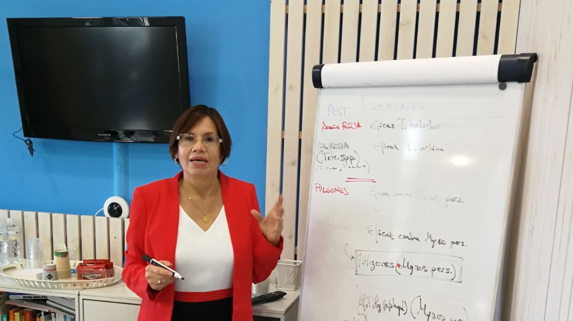 Alicia Machuca.Cursos de Formacion