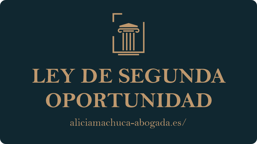 LEY DE SGUNDA OPORTUNIDAD
