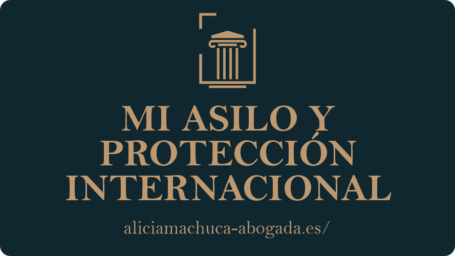 mi asilo y proteccion internacional